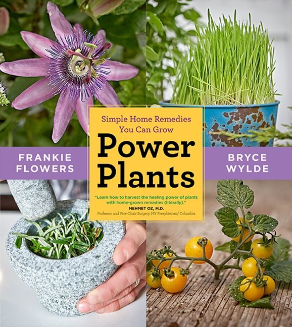 Power Plants Book Cover