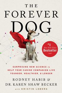 the-forever-dog