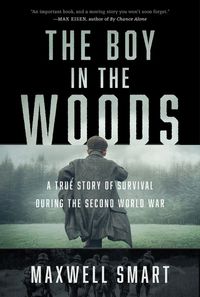 the-boy-in-the-woods