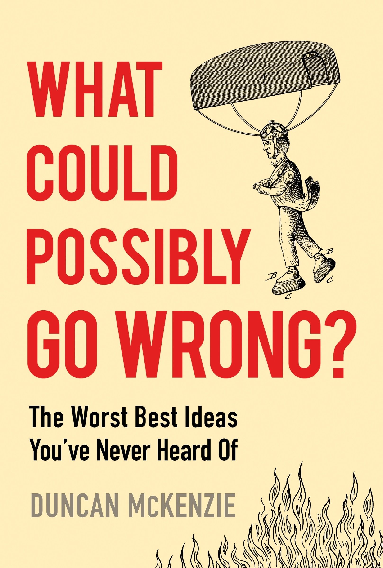 What Could Possibly Go Wrong? Book Cover