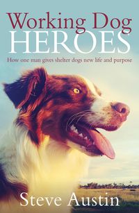 working-dog-heroes