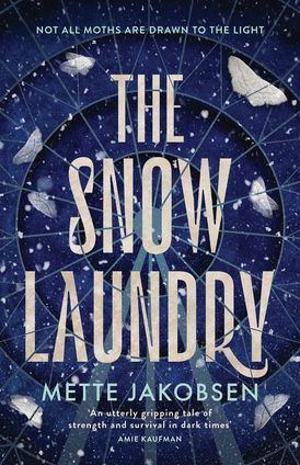 The Snow Laundry (The Towers, #1)