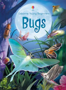 YOUNG BEGINNERS/BUGS