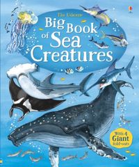big-book-of-big-sea-creatures