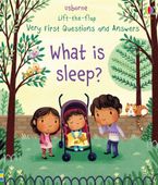 Very First Lift The Flap Questions And Answers What Is Sleep Hardcover  by Katie Daynes