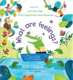 Lift-the-Flap First Questions & Answers: What are Feelings? Board Book Hardcover  by Katie Daynes