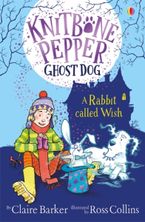 Rabbit Called Wish Paperback  by Claire Barker