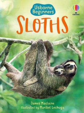 Beginners: Sloths