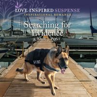 searching-for-evidence