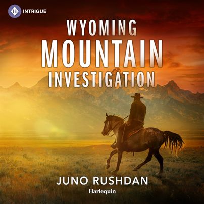 Wyoming Mountain Investigation