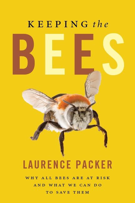 Keeping The Bees Book Cover