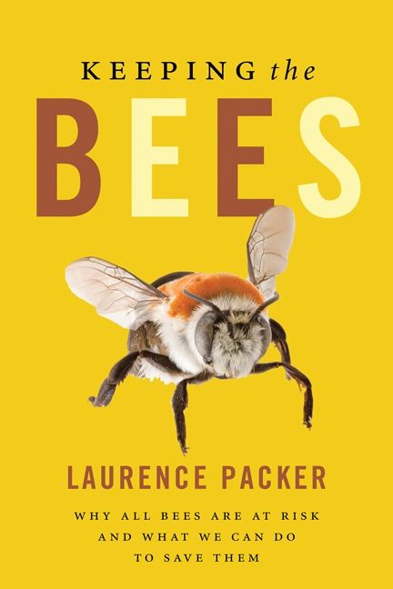 Keeping The Bees Book Cover