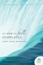 The Day The Falls Stood Still Paperback  by Cathy Marie Buchanan