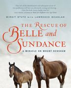 The Rescue Of Belle And Sundance