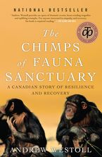 Chimps Of Fauna Sanctuary