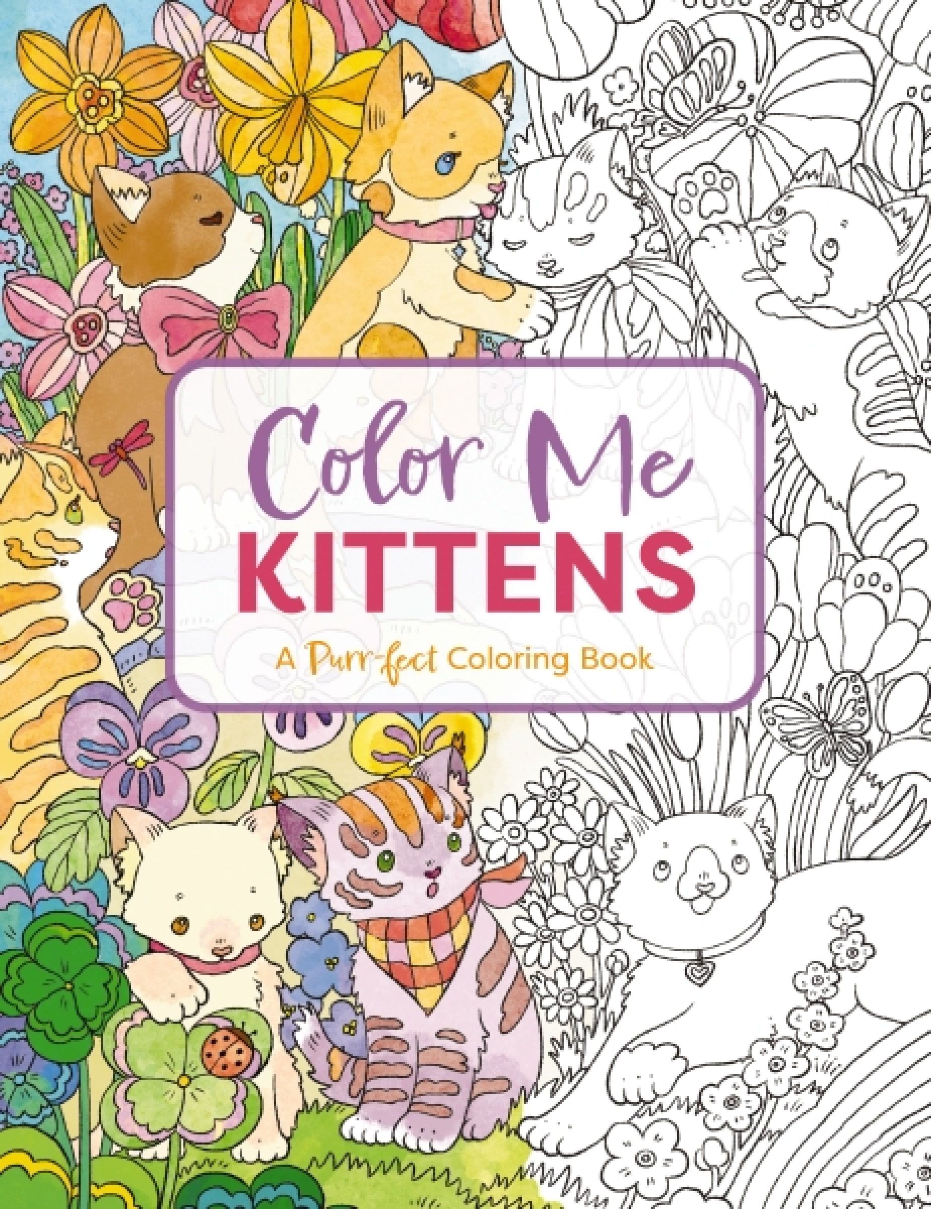 Color Me Kittens, Sports, Hobbies & Travel, Paperback, Cider Mill Press