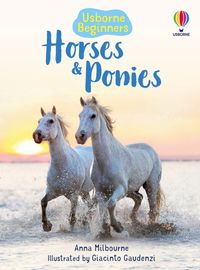 horses-and-ponies