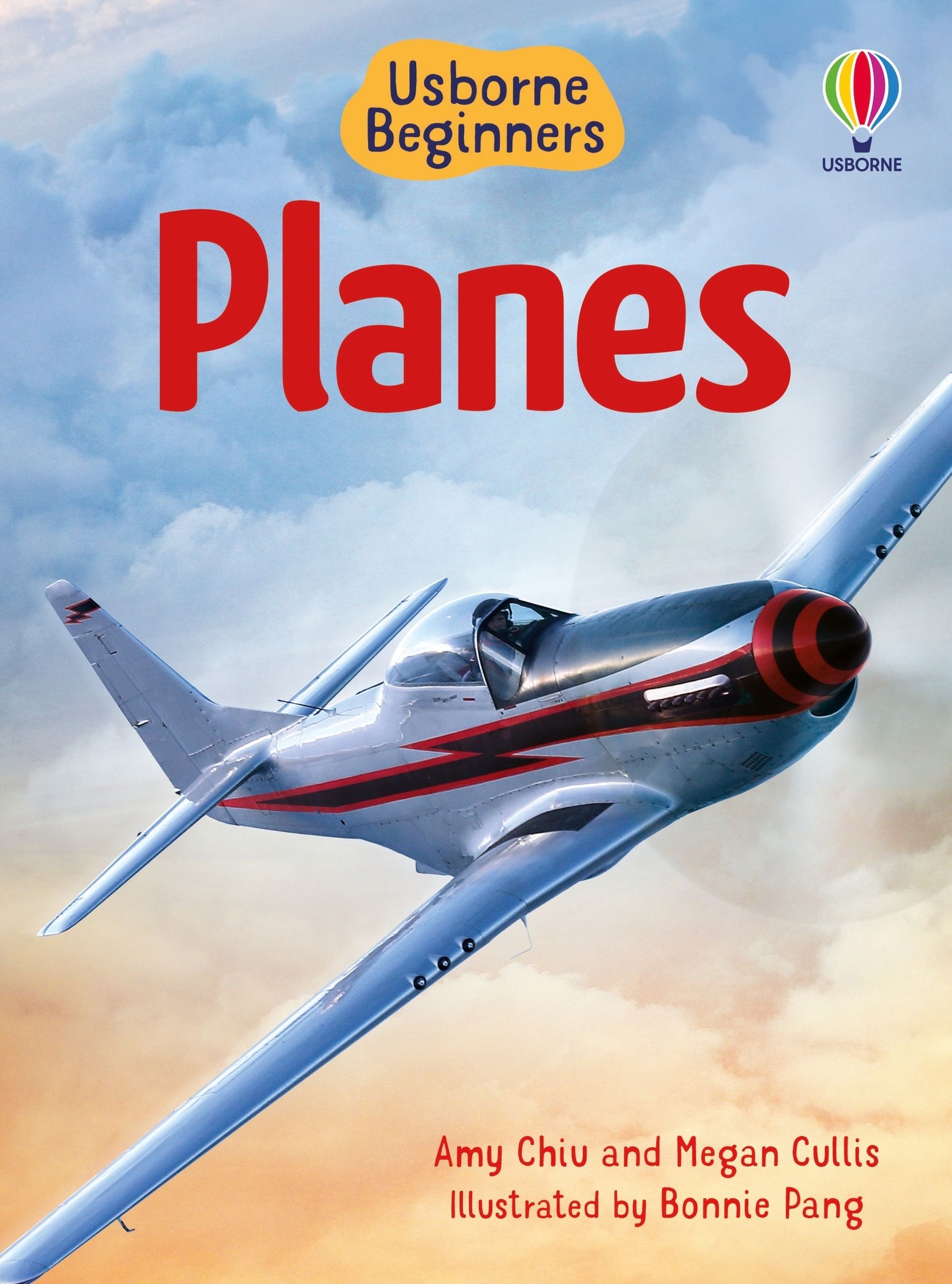 Planes (Usborne Beginners)