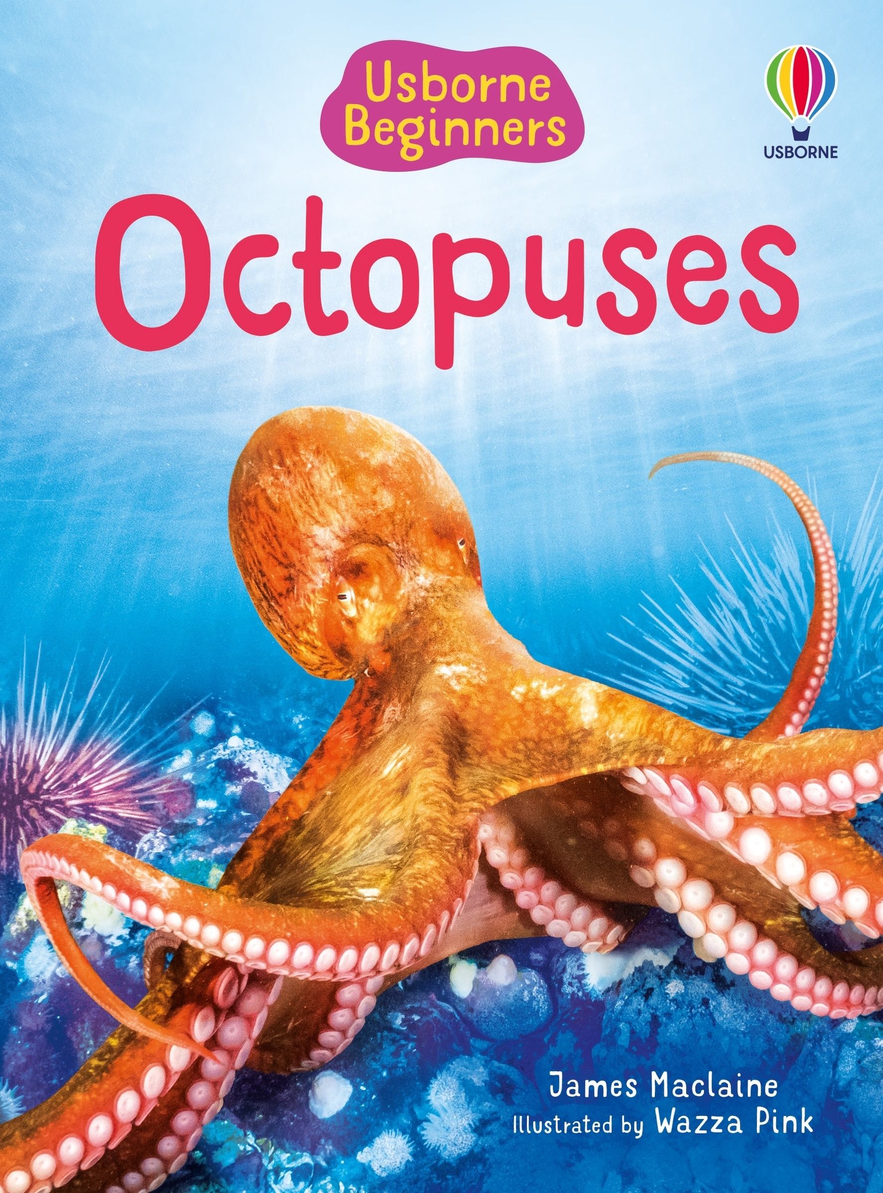 Octopuses (Usborne Beginners)