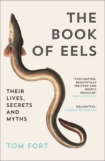 The Book of Eels