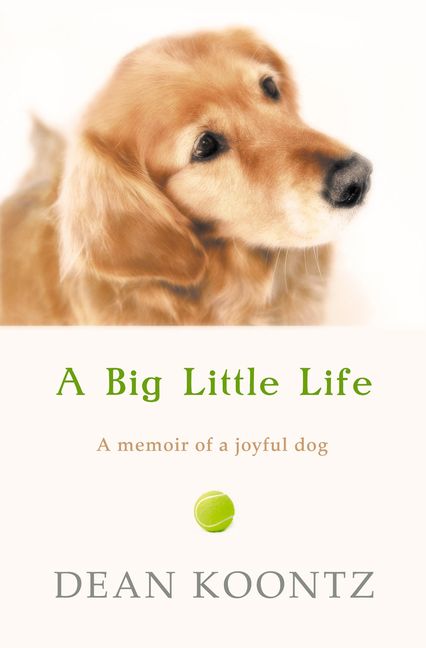 Little life. Your Dog joyful yesterday?. My friend Julia has a Dog.