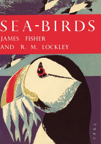 Sea-Birds (Collins New Naturalist Library, Book 28)