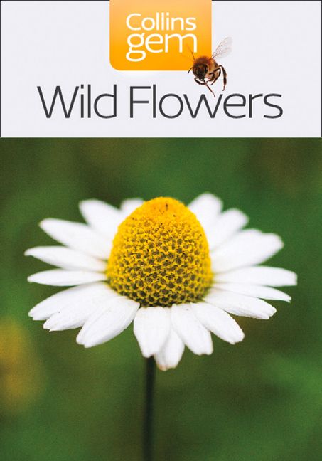 Collins Gem Wild Flowers (Collins Gems): Marjorie Blamey