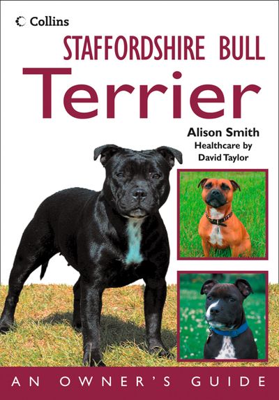 Staffordshire Bull Terrier: An Owner’s Guide