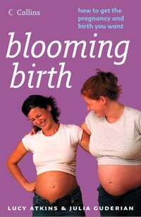 blooming-birth-how-to-get-the-pregnancy-and-birth-you-want