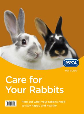 Care for Your Rabbits (RSPCA Pet Guide) :HarperCollins Australia
