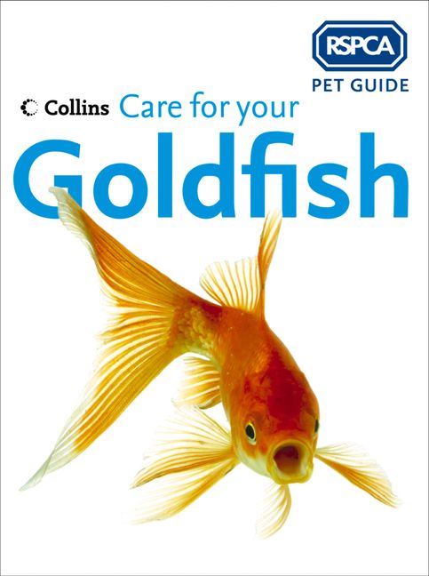 Care for your Goldfish RSPCA Pet Guide HarperCollins Australia