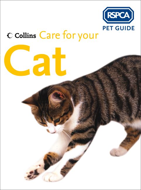 Care for your Cat (RSPCA Pet Guide) :HarperCollins Australia