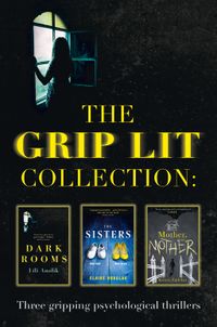 the-grip-lit-collection-the-sisters-mother-mother-and-dark-rooms