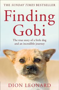 finding-gobi