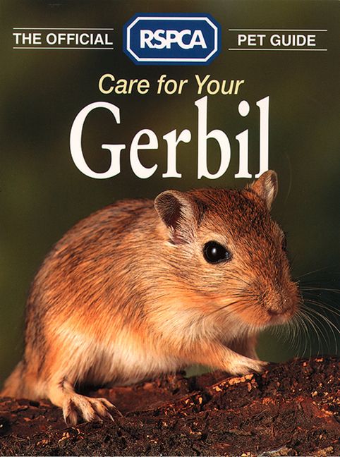 Care for your Gerbil (The Official RSPCA Pet Guide) :HarperCollins