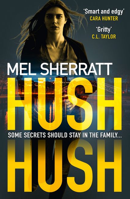 hush hush book 1
