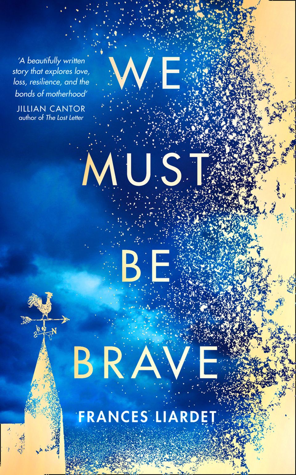 we must be brave by frances liardet