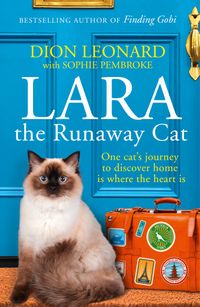 lara-the-runaway-cat
