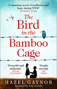 the-bird-in-the-bamboo-cage