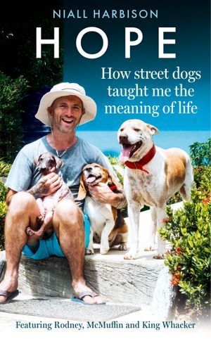 Hope-How Street Dogs Taught Me the Meaning of Life