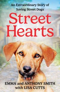 street-hearts-an-extraordinary-story-of-saving-street-dogs