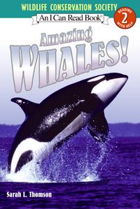 amazing-whales