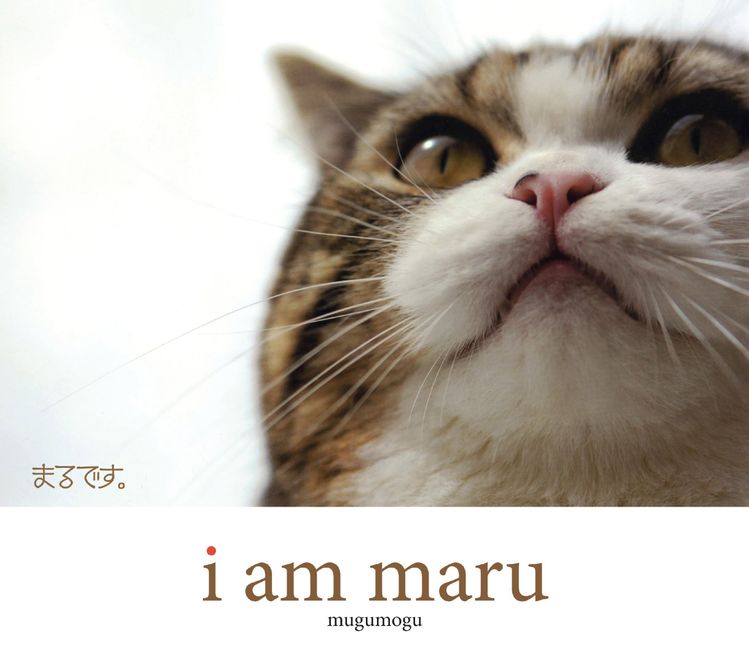 I Am Maru :HarperCollins Australia