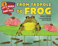 from-tadpole-to-frog