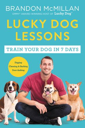 Lucky Dog Lessons :HarperCollins Australia