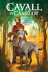 Cavall in Camelot #1