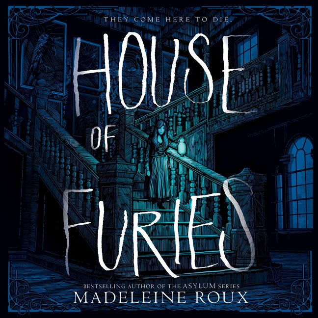 house of furies book