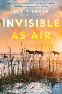 invisible-as-air