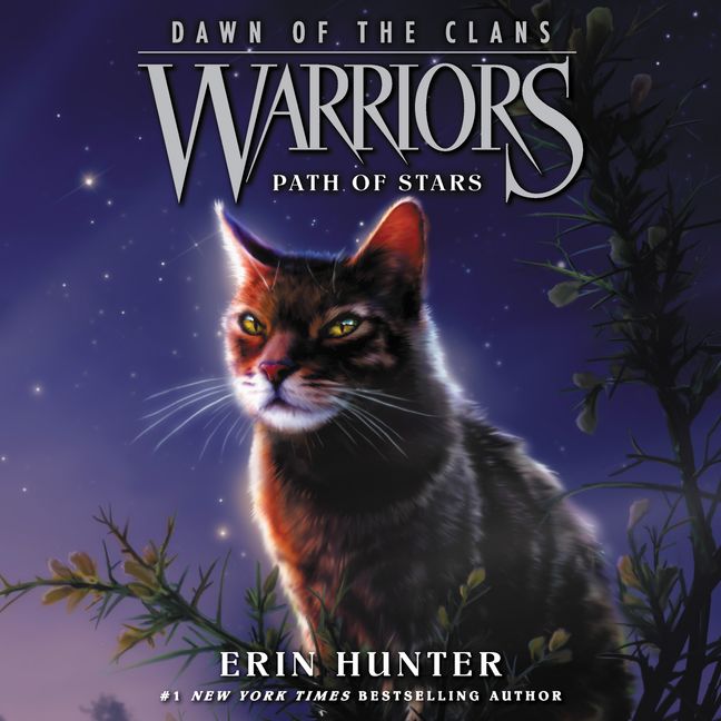 Warriors: Dawn of the Clans #6: Path of Stars :HarperCollins Australia