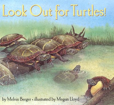 Look Out for Turtles